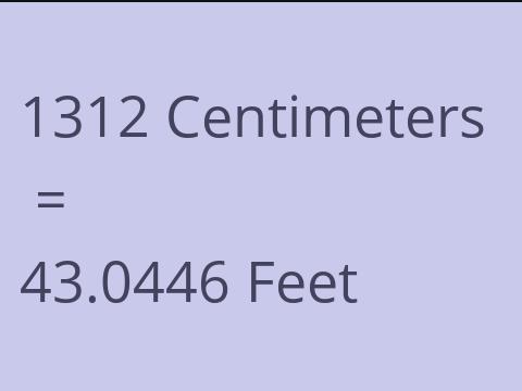 1312 CM TO FEET