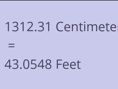 1312.31 CM TO FEET