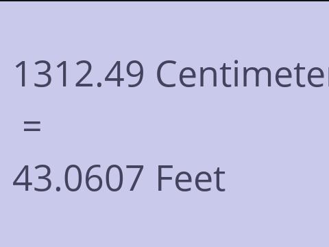 1312.49 CM TO FEET