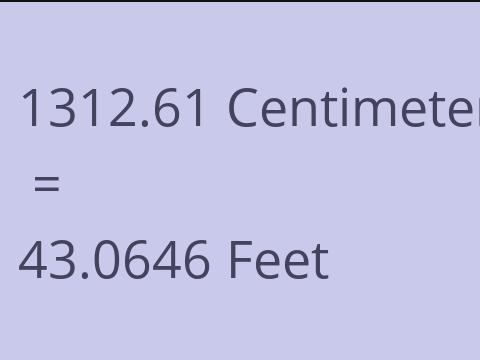 1312.61 CM TO FEET