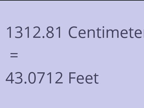 1312.81 CM TO FEET