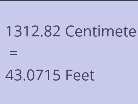 1312.82 CM TO FEET