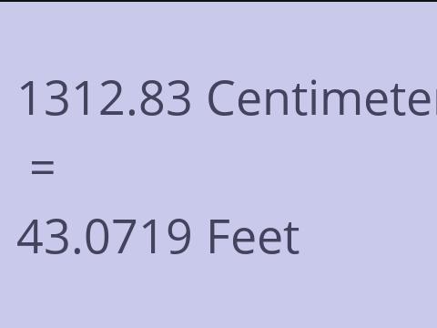 1312.83 CM TO FEET