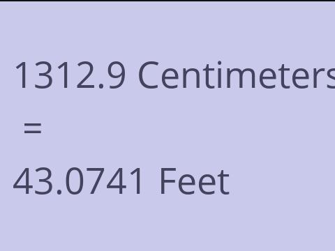 1312.9 CM TO FEET