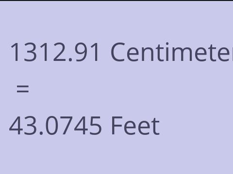 1312.91 CM TO FEET