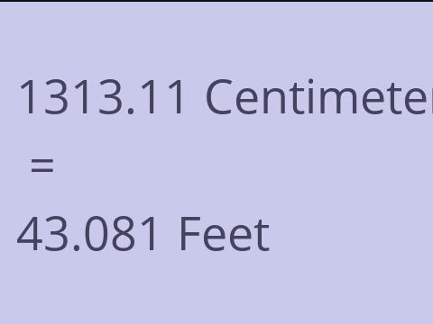 1313.11 CM TO FEET