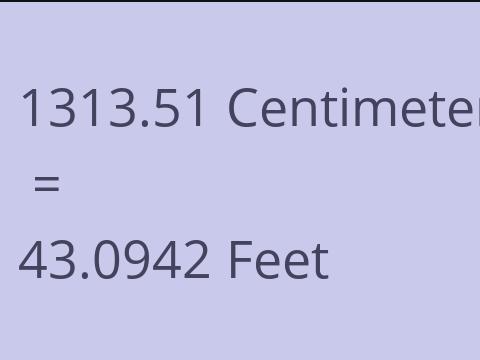 1313.51 CM TO FEET