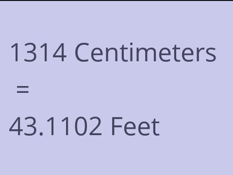 1314 CM TO FEET