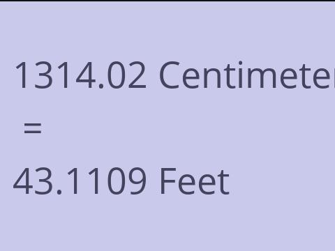 1314.02 CM TO FEET