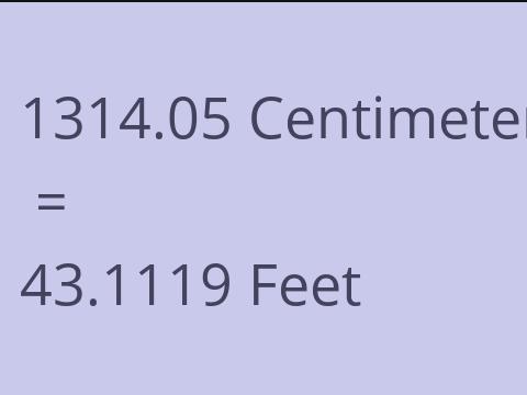 1314.05 CM TO FEET