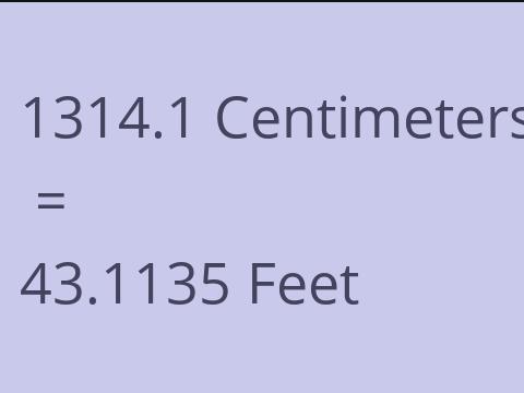 1314.1 CM TO FEET