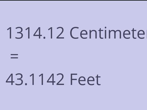 1314.12 CM TO FEET