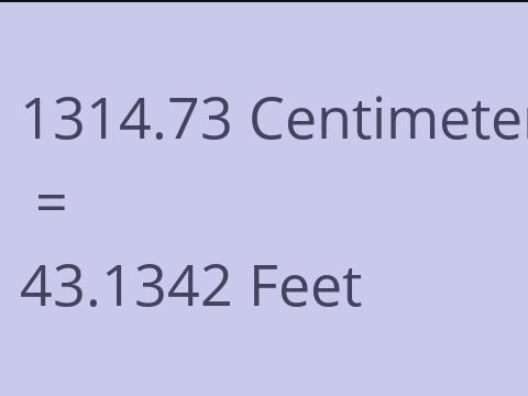 1314.73 CM TO FEET