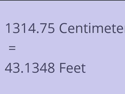 1314.75 CM TO FEET