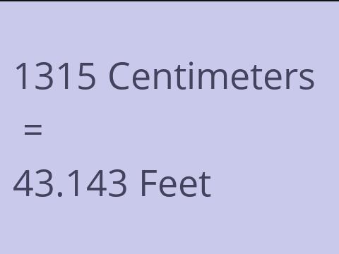 1315 CM TO FEET