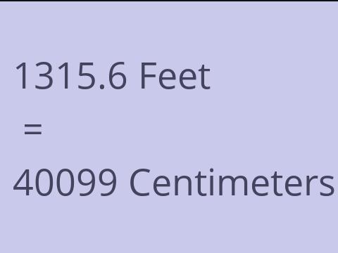 1315.6 FEET TO CM