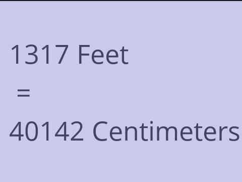 1317 FEET TO CM