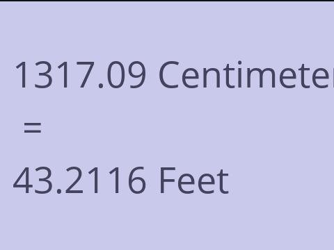 1317.09 CM TO FEET