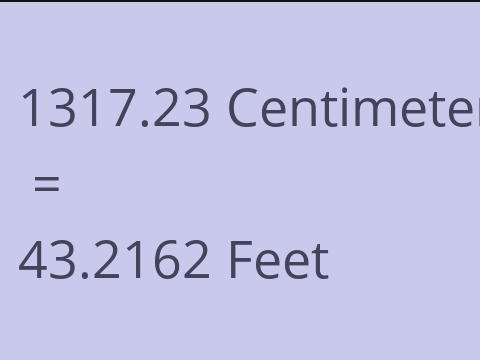 1317.23 CM TO FEET