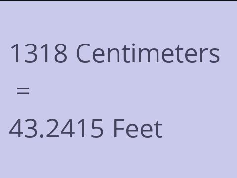 1318 CM TO FEET