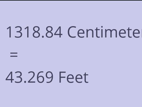 1318.84 CM TO FEET