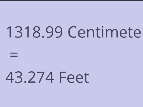 1318.99 CM TO FEET