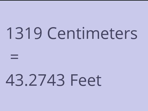 1319 CM TO FEET