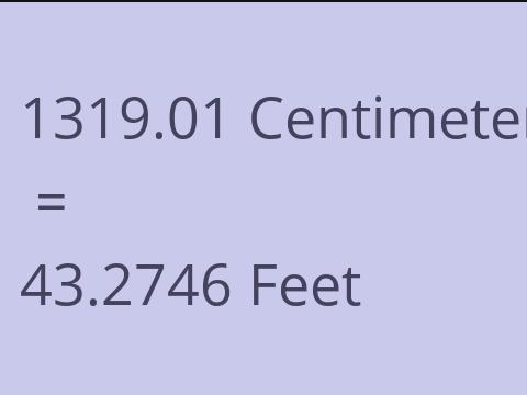 1319.01 CM TO FEET