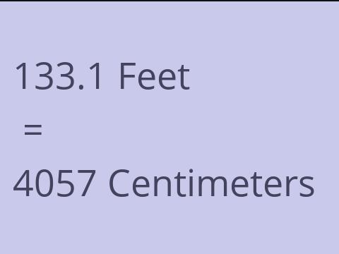 133.1 FEET TO CM