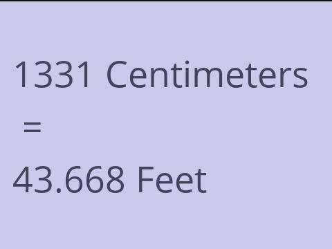 1331 CM TO FEET