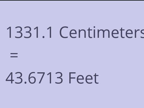 1331.1 CM TO FEET