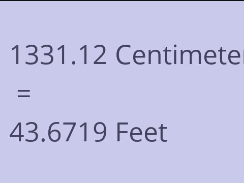 1331.12 CM TO FEET