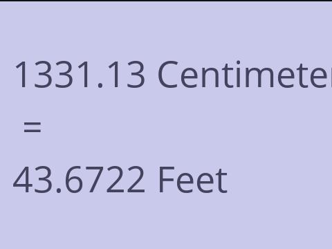 1331.13 CM TO FEET