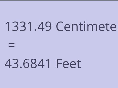 1331.49 CM TO FEET