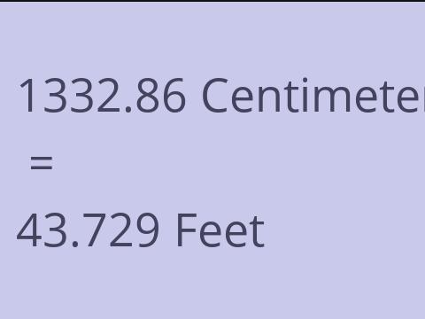 1332.86 CM TO FEET