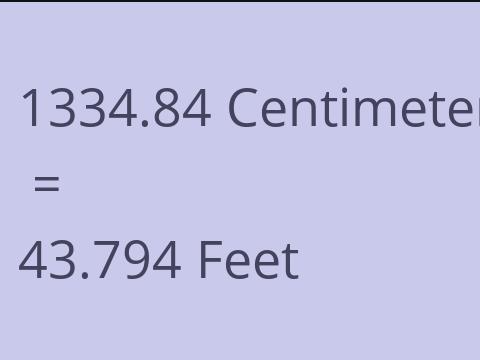 1334.84 CM TO FEET