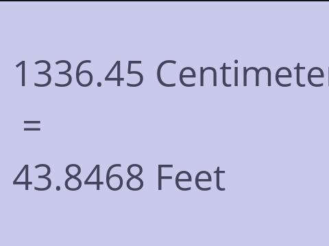 1336.45 CM TO FEET