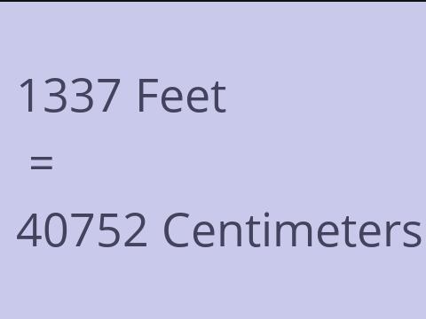 1337 FEET TO CM