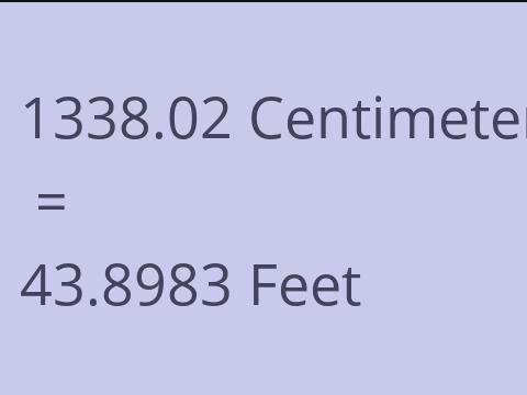 1338.02 CM TO FEET