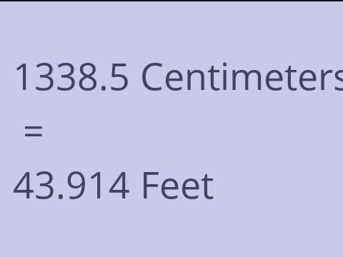 1338.5 CM TO FEET