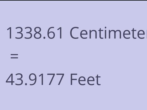 1338.61 CM TO FEET