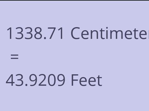 1338.71 CM TO FEET