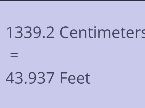 1339.2 CM TO FEET