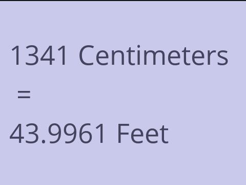 1341 CM TO FEET