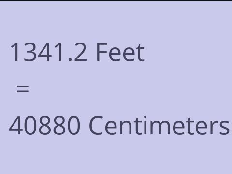 1341.2 FEET TO CM