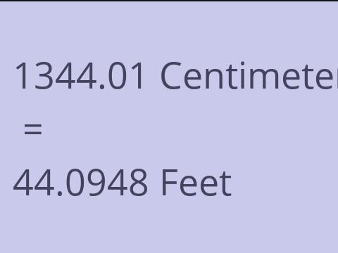 1344.01 CM TO FEET