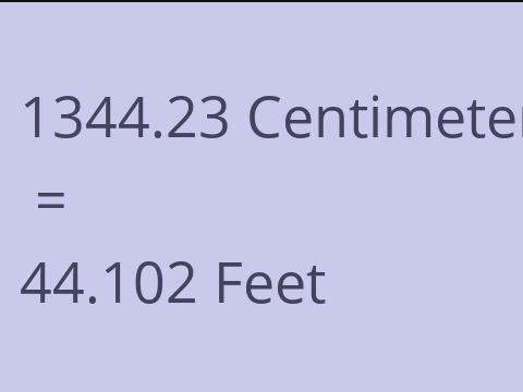 1344.23 CM TO FEET