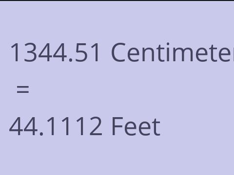 1344.51 CM TO FEET