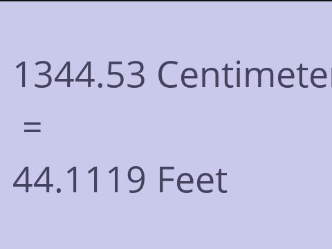 1344.53 CM TO FEET