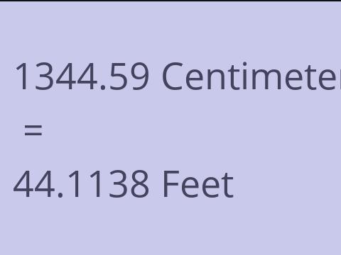 1344.59 CM TO FEET